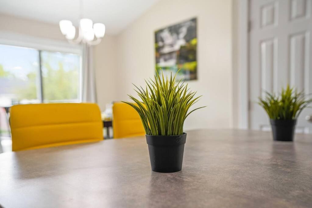 Remodeled, Charming Retreat On The City'S Doorstep 博伊西 外观 照片